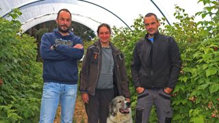 Nicolas (à droite), Cécile et Dominique Peyrard se sont successivement installés sur leur exploitation familiale de Saint-Romain-Lachalm, fondée avec leur père Michel. © Monique Roque Marmeys Nicolas (à droite), Cécile et Dominique Peyrard se sont successivement installés sur leur exploitation familiale de Saint-Romain-Lachalm, fondée avec leur père Michel. © Monique Roque Marmeys